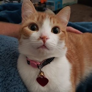 Meet your Posher, Melanie